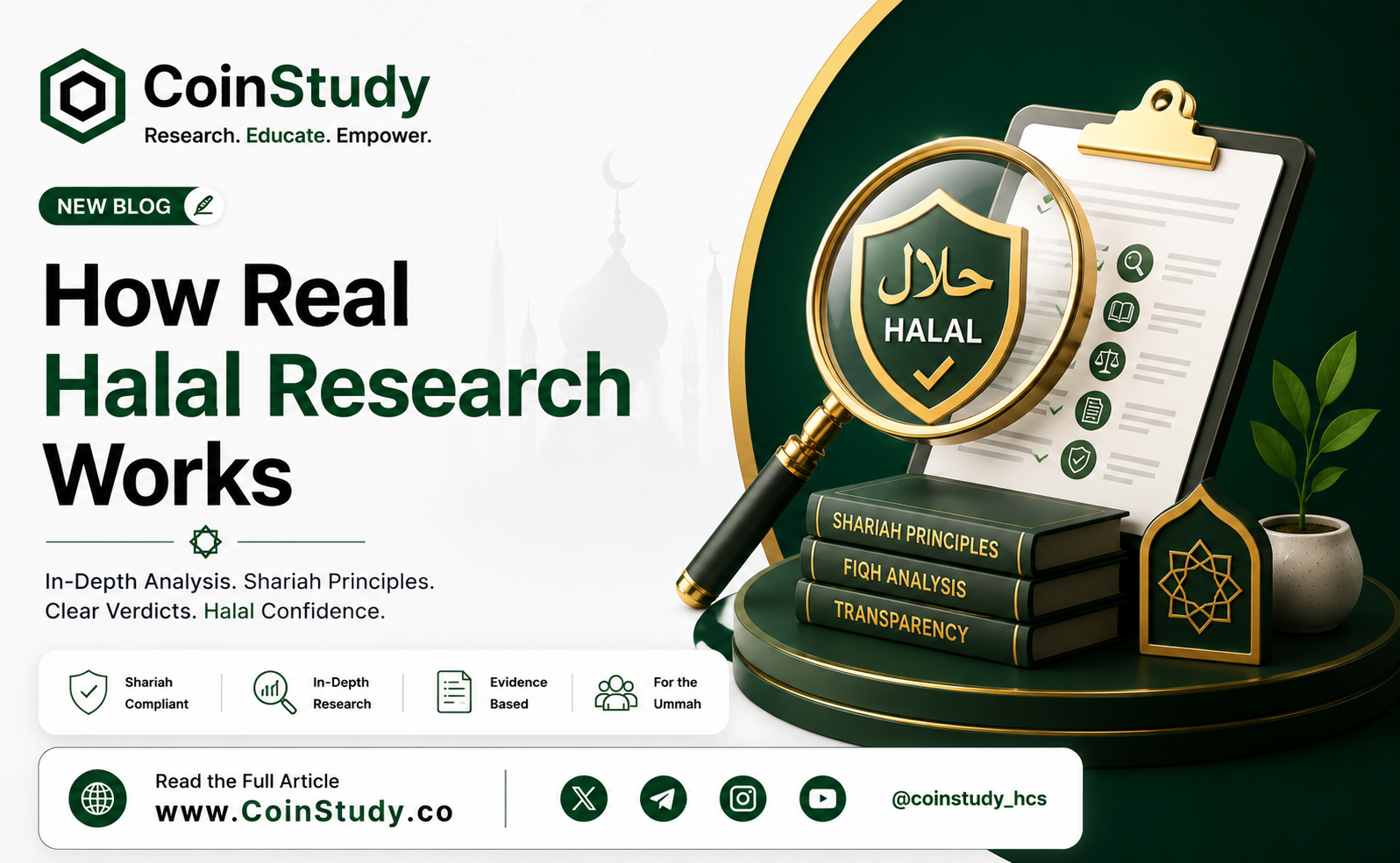 How Real Halal Research Works at CoinStudy, The Human Process Behind Halal Research